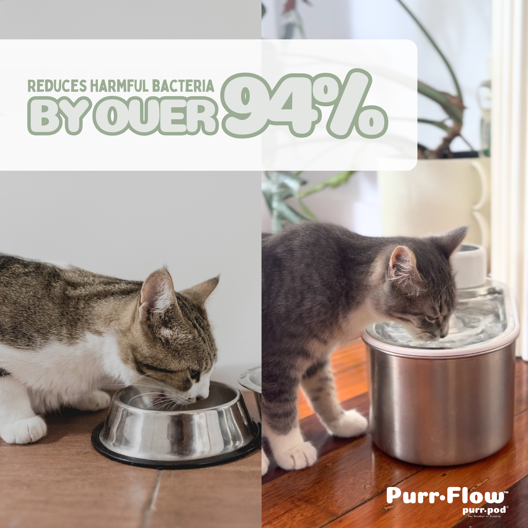 Purr-Flow™ Water Fountain