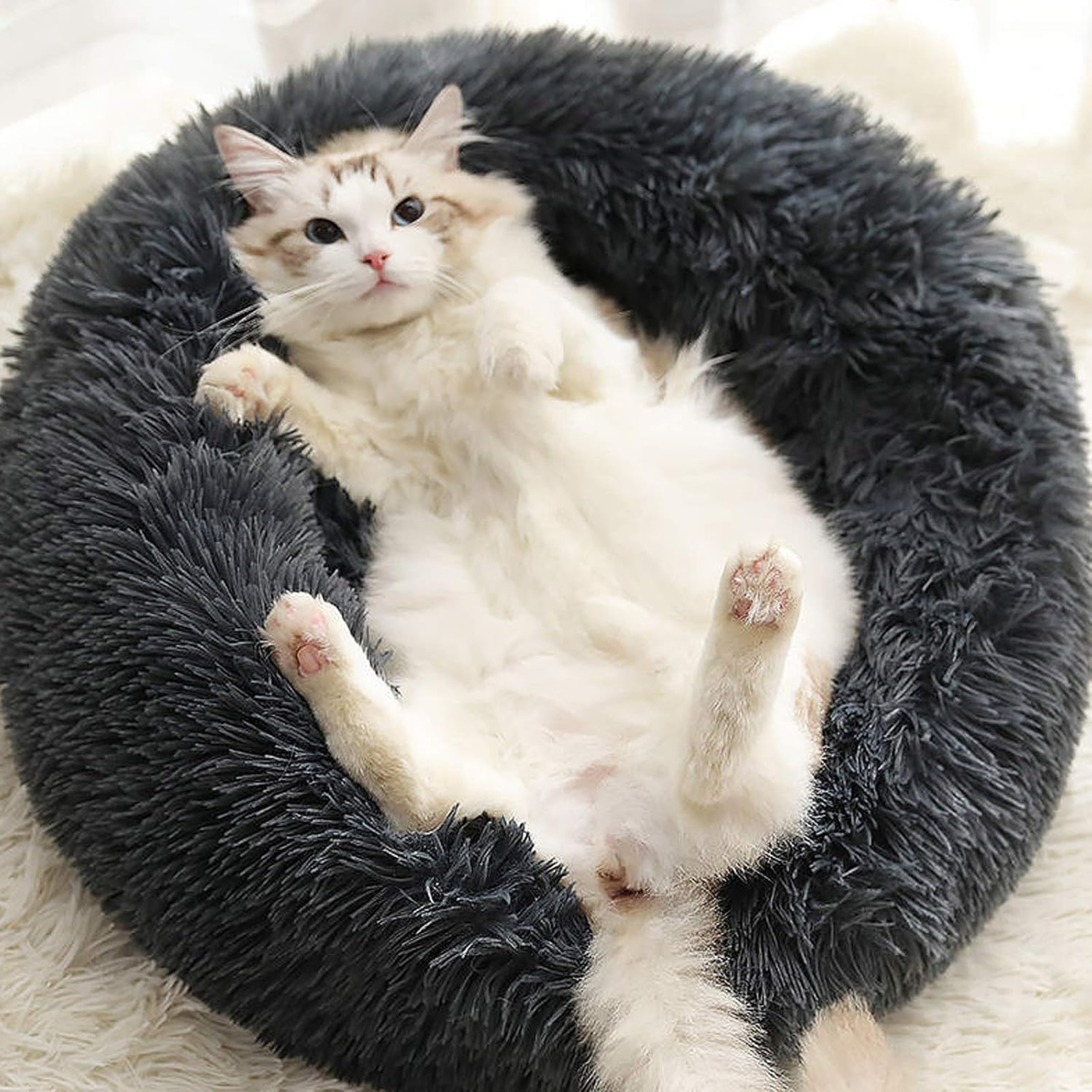 Purr-Cloud™ Anxiety Bed