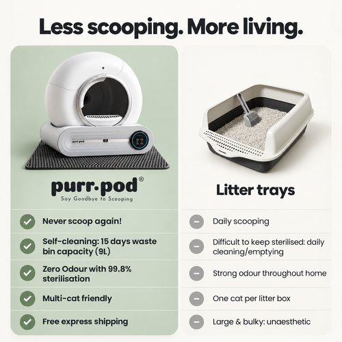 Purr-Pod™ Smart Litter Box