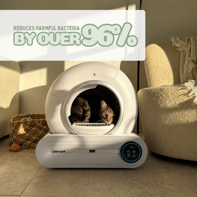 Purr-Pod™ Smart Litter Box
