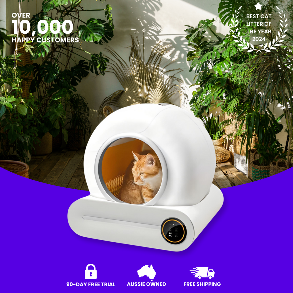 PurrPod™ Automatic Litter Box