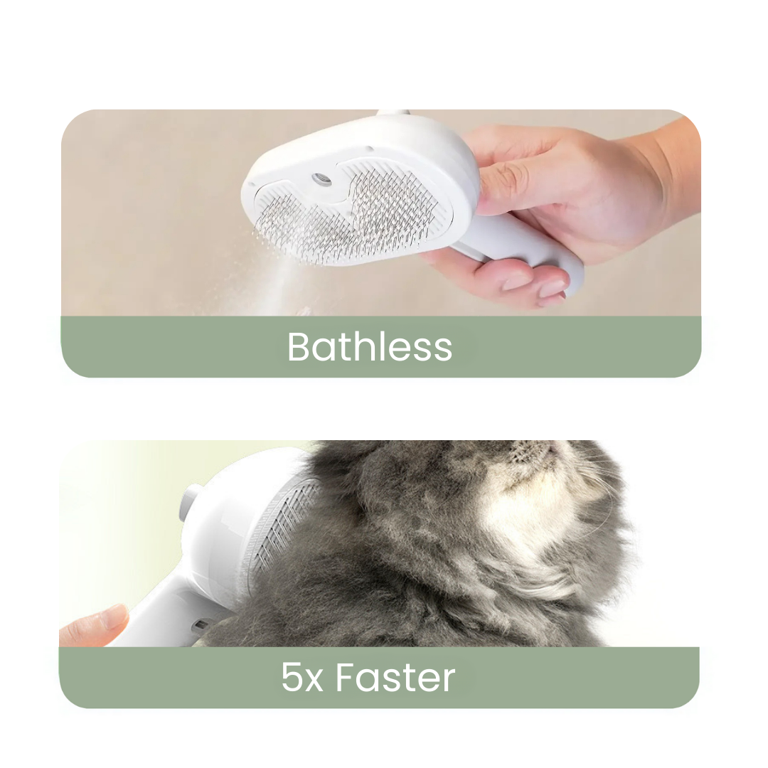 Purr-Brush™ Bathless Cleaner