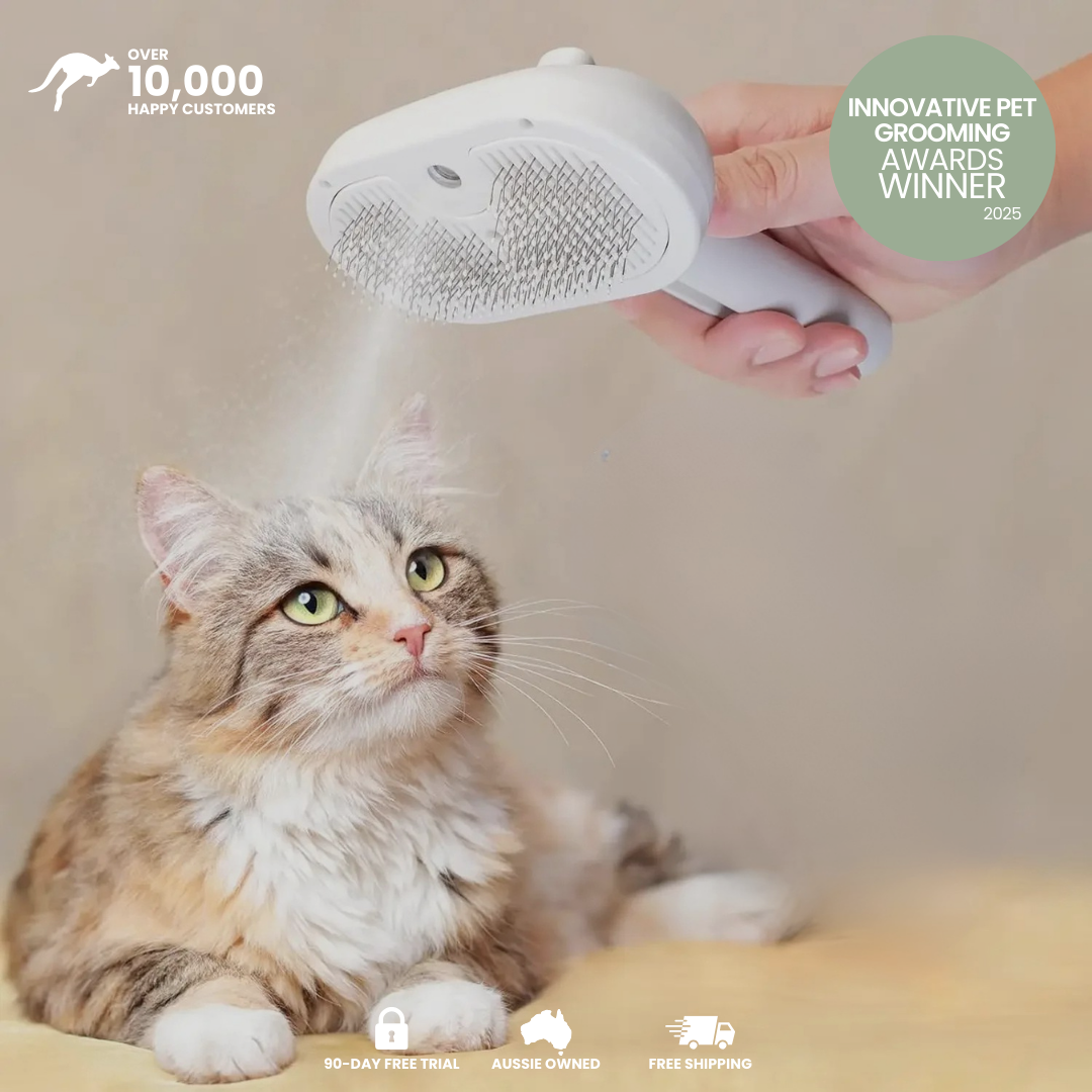 Purr-Brush™ Bathless Cleaner