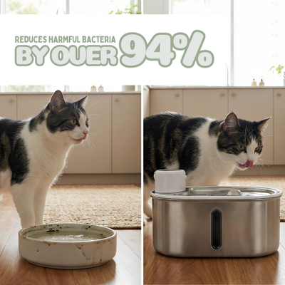 Purr-Flow™ Water Fountain