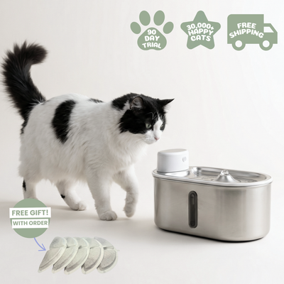 Purr-Flow™ Water Fountain