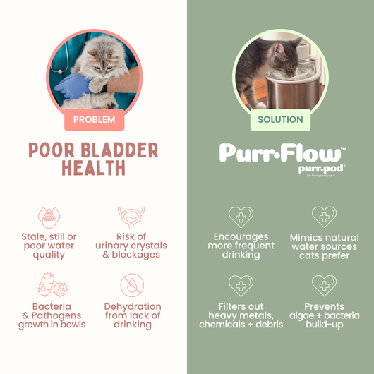 Purr-Flow™ Water Fountain
