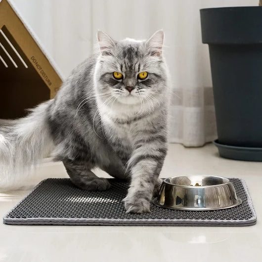 Purr-Pod Litter Mat