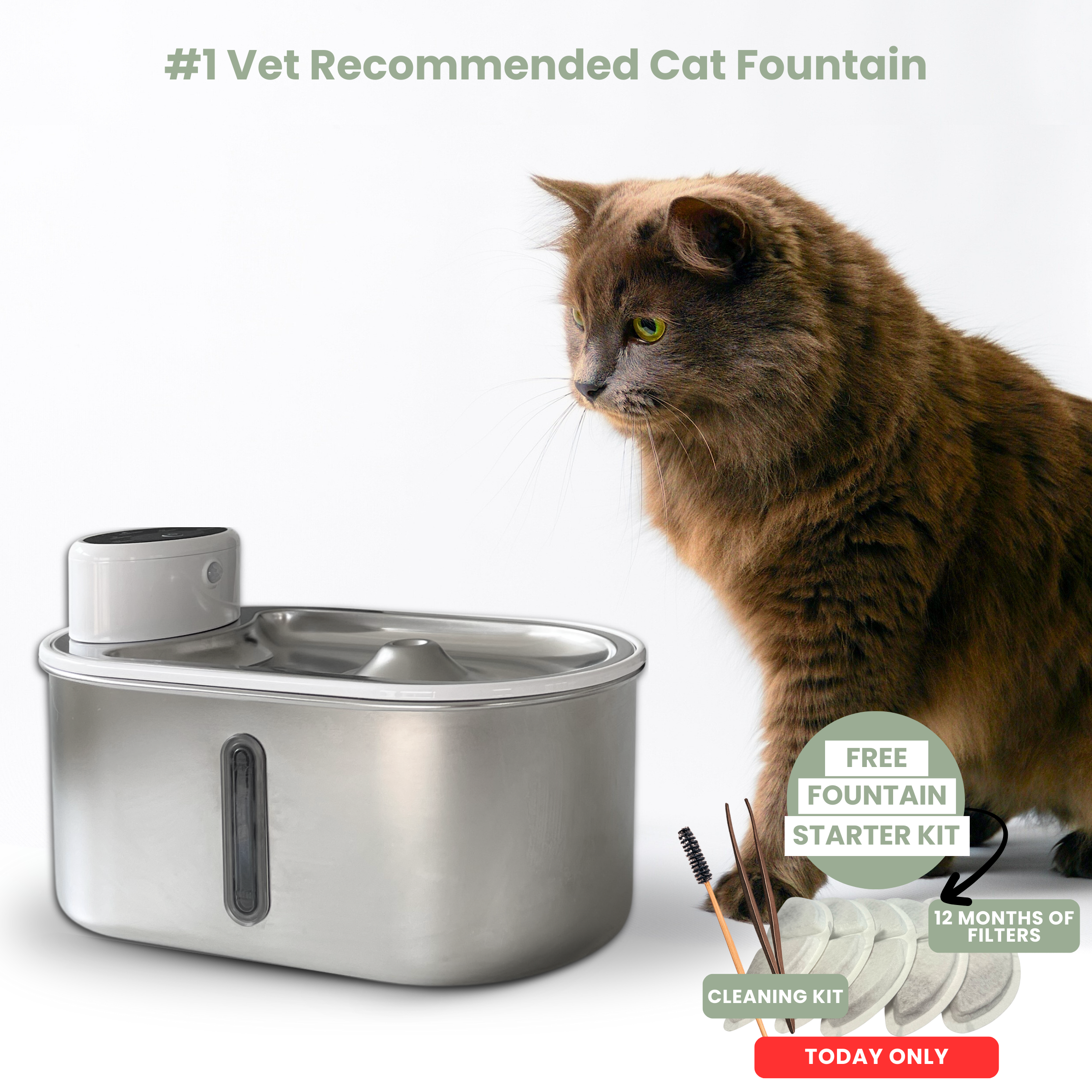 Purr-Flow™ Water Fountain