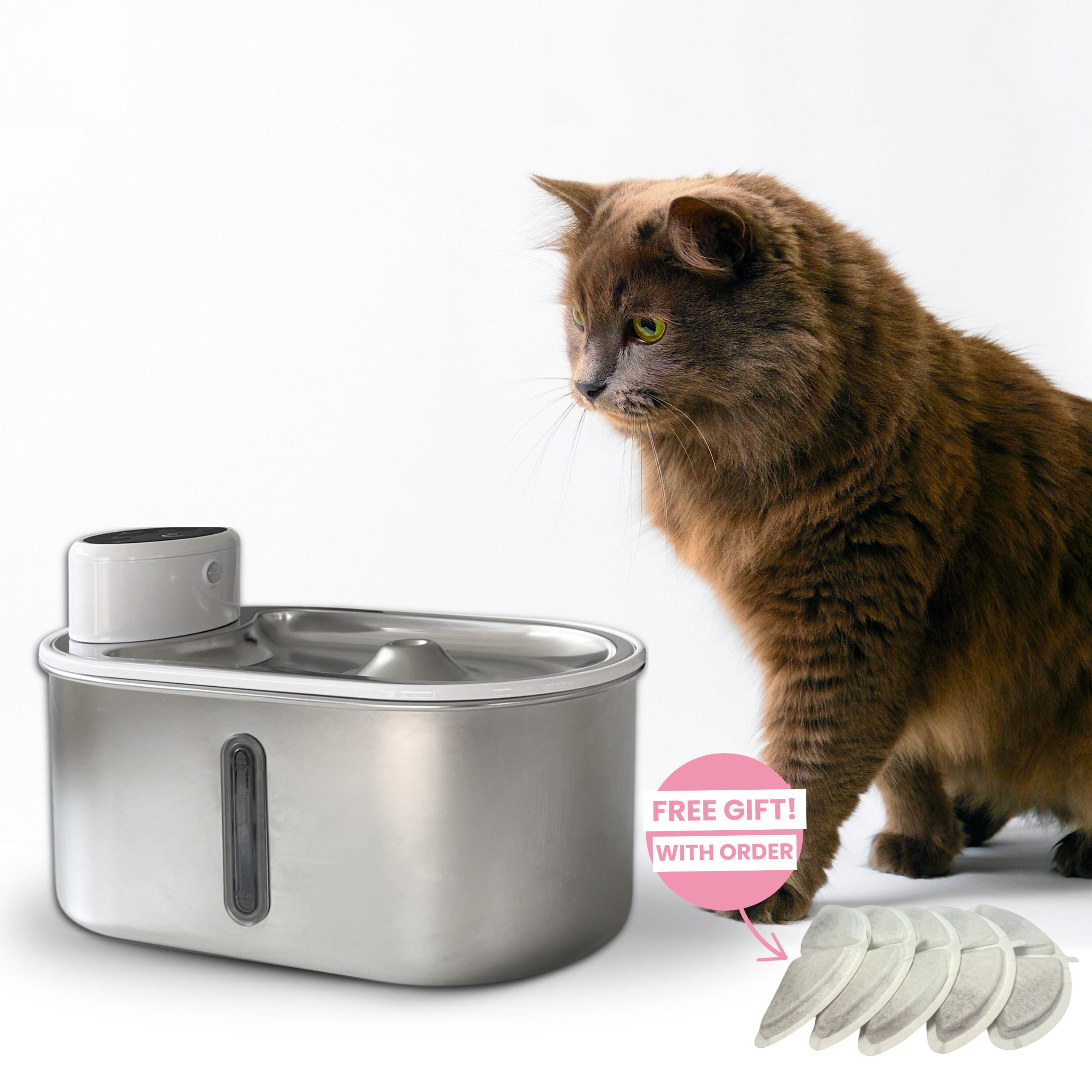Purr-Flow™ Water Fountain