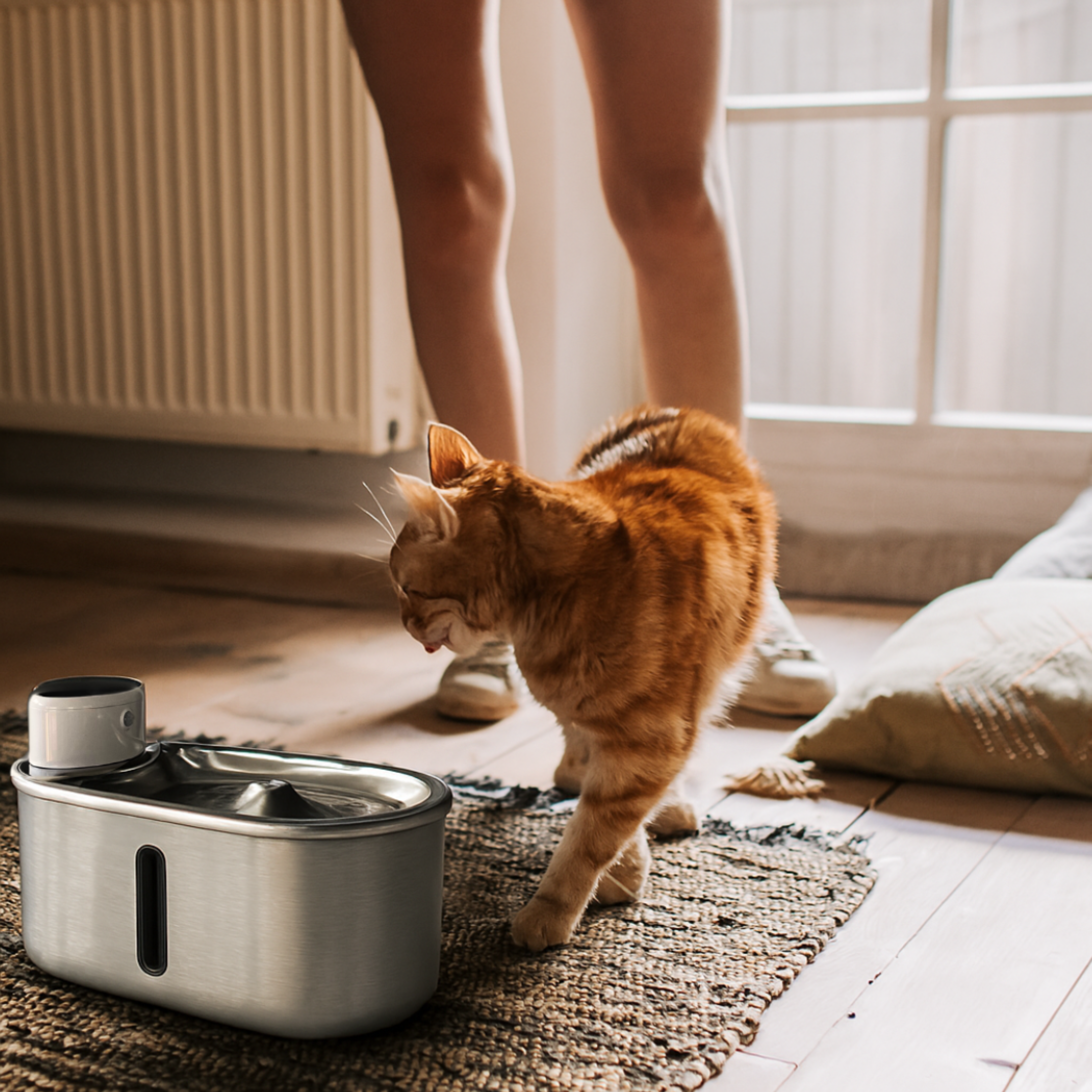 Purr-Flow™ Water Fountain
