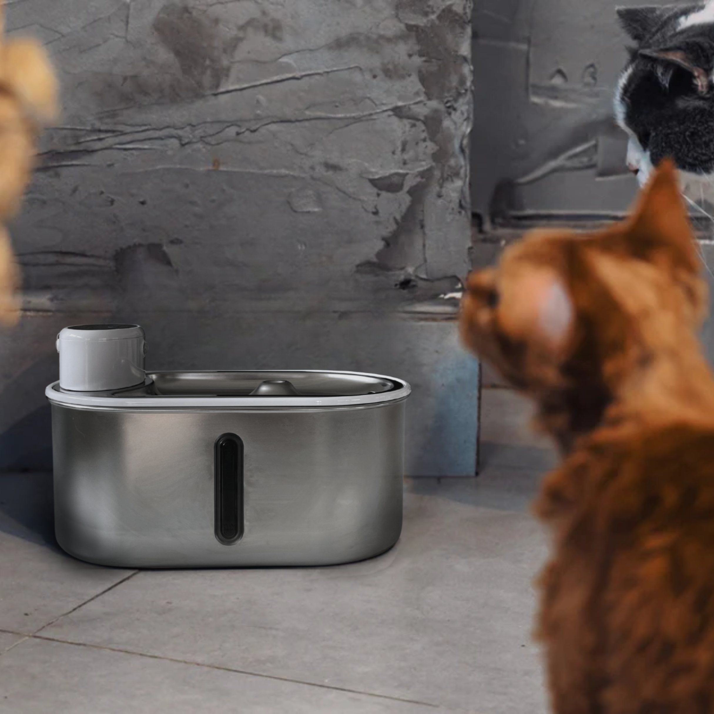Purr-Flow™ Water Fountain